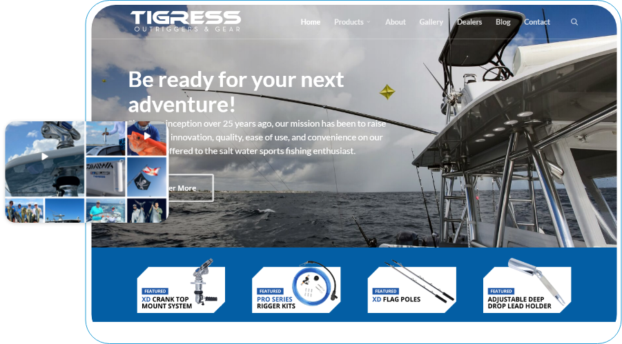 Ecommerce Development